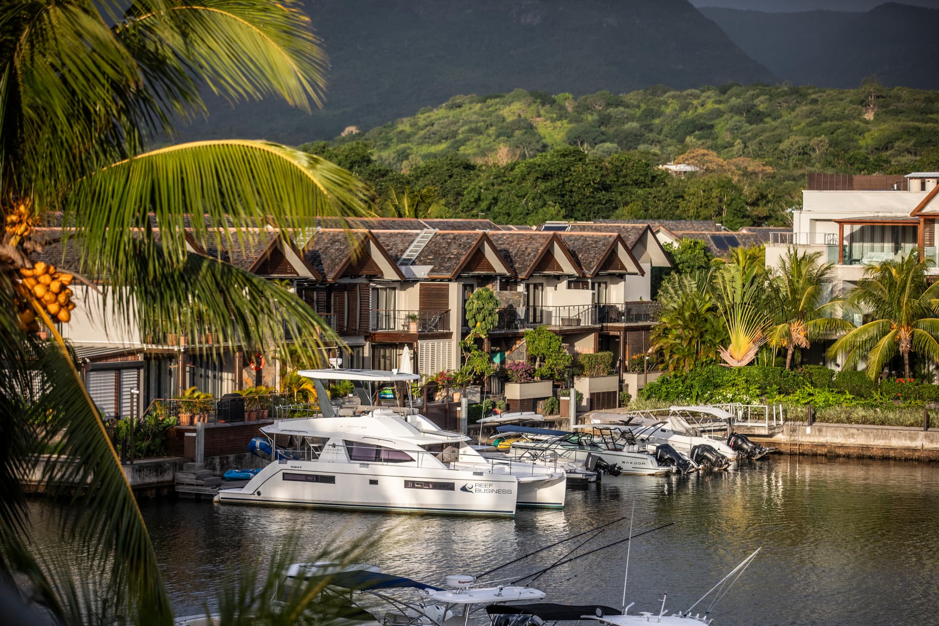 Vue sur le port avec des bateaux amarrés à proximité. 

Végétation luxuriante encadrant l'espace extérieur du penthouse. 

Terrasses décorées de plantes tropicales ajoutant du caractère à l'environnement. 

Bord de l'eau accessible, offrant une atmosphère paisible et relaxante. 

Eau calme du port reflétant la beauté environnante.