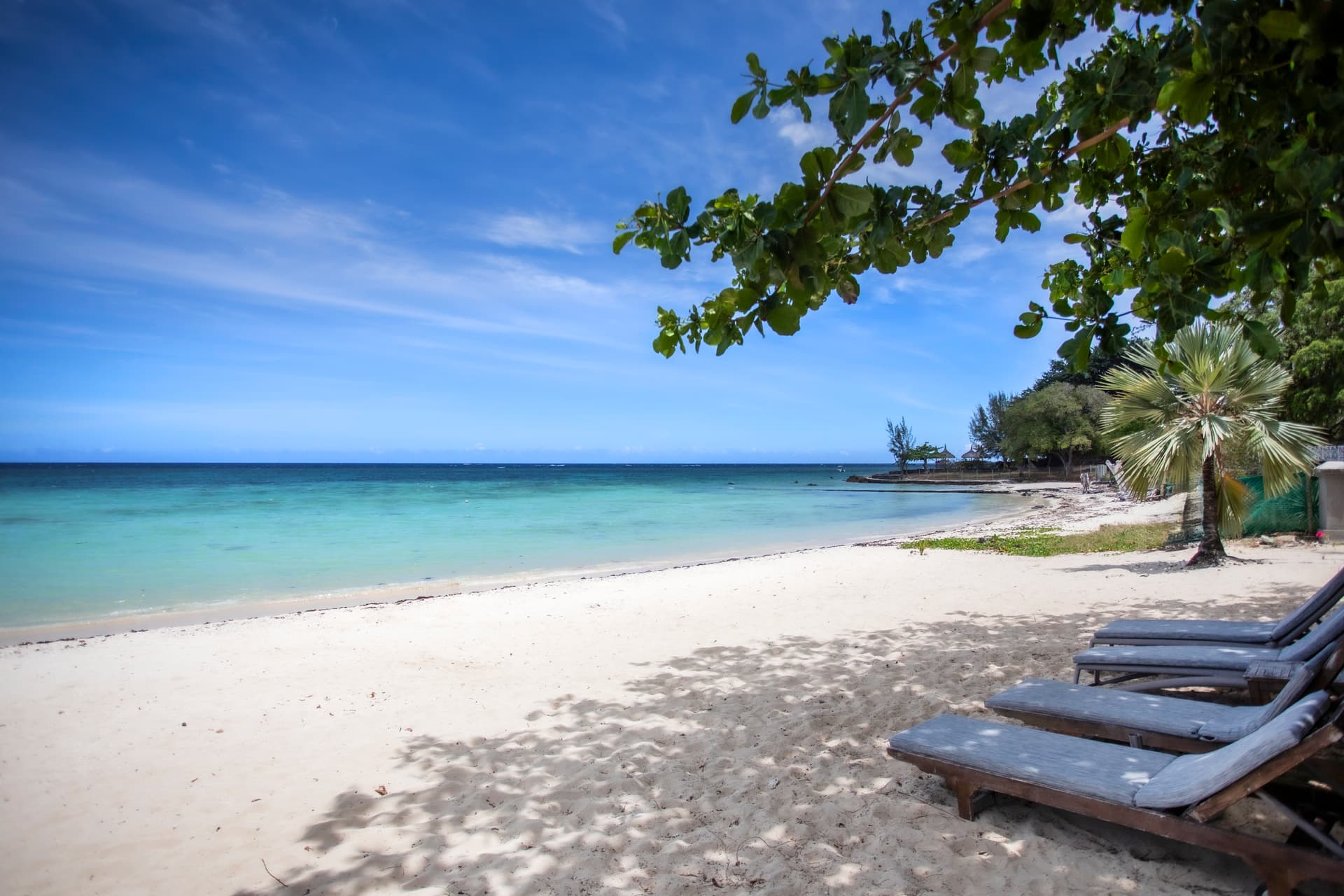 Beachfront Luxury Studio